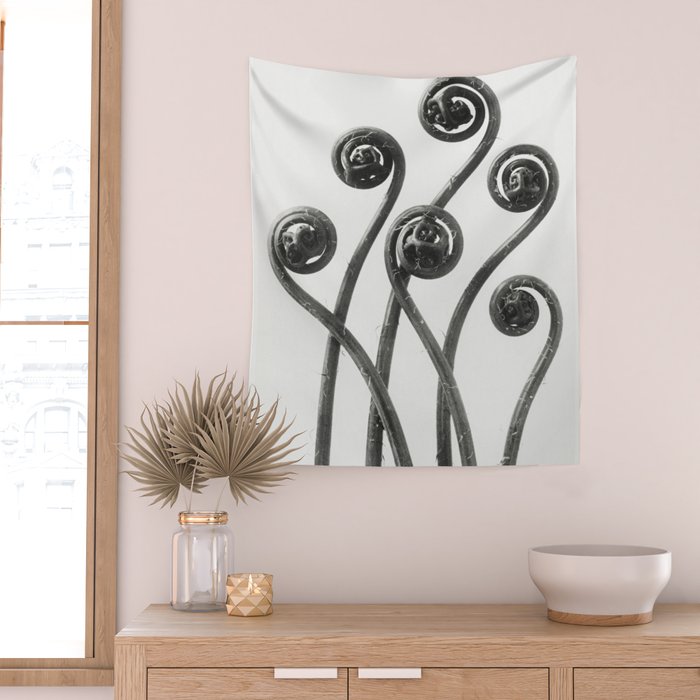 American Maiden-hair Fern fronds wonders of nature black and white photograph by Karl Blossfeldt Wall Tapestry Gallery Image 2