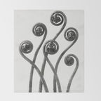 American Maiden-hair Fern fronds wonders of nature black and white photograph by Karl Blossfeldt Throw Blanket Gallery Image 2