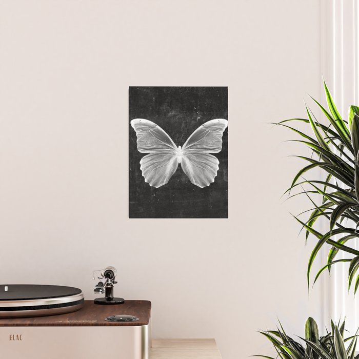 Butterfly in Black Poster Gallery Image 2