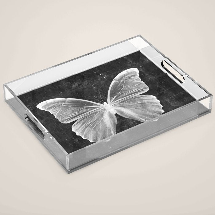 Butterfly in Black Acrylic Tray Gallery Image 1