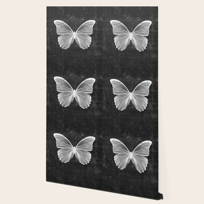 Butterfly in Black Wallpaper Gallery Image 2