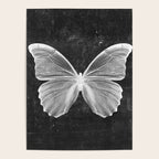 Butterfly in Black Poster Gallery Image 4