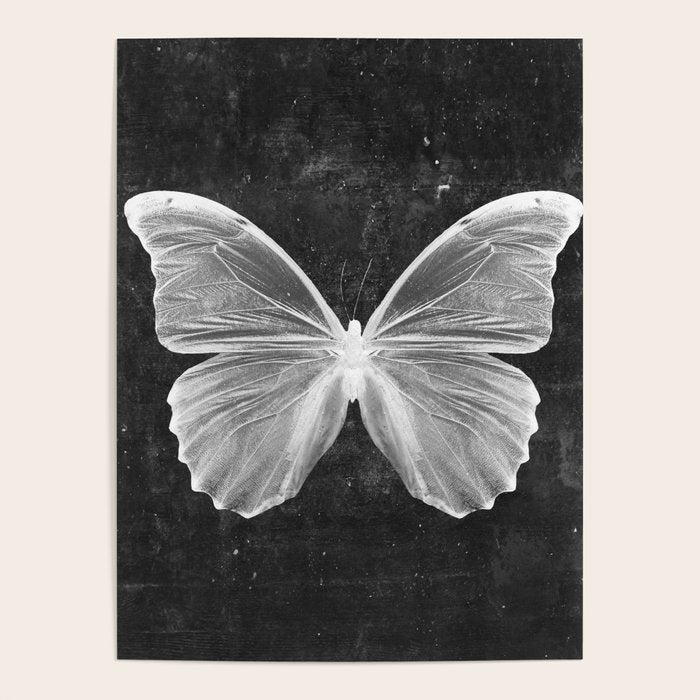 Butterfly in Black Poster Gallery Image 4