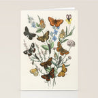 Vintage Scientific Illustration Butterfly Botanical Floral Lithograph Encyclopaedia Diagrams  Stationery Card Gallery Image 2