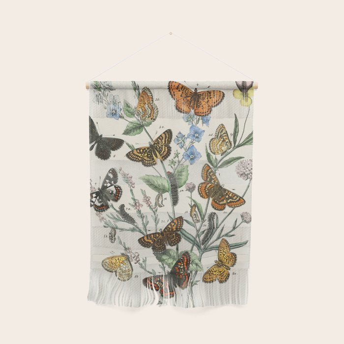 Vintage Scientific Illustration Butterfly Botanical Floral Lithograph Encyclopaedia Diagrams  Wall Hanging Gallery Image 1