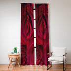 Red roses Window Curtain Gallery Image 4