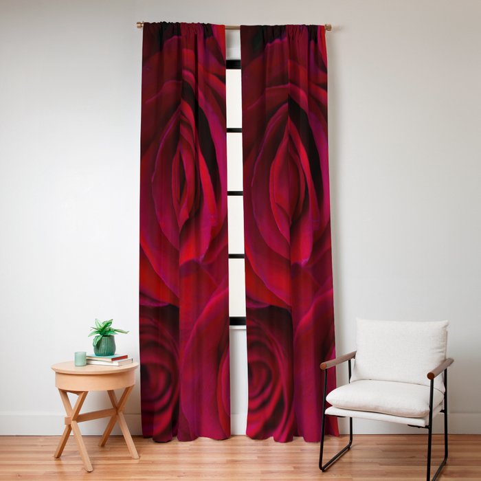 Red roses Window Curtain Gallery Image 4
