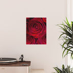 Red roses Poster Gallery Image 2