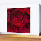 Red roses Wall Mural Gallery Image 2