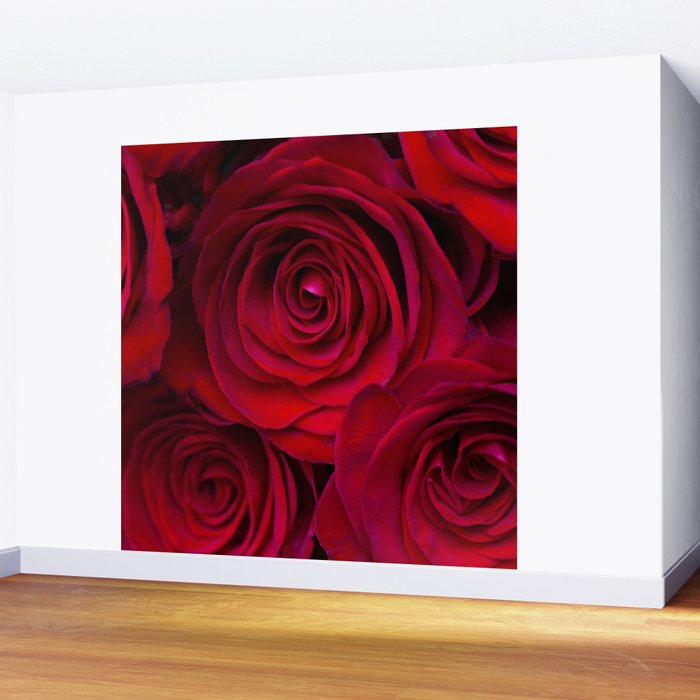 Red roses Wall Mural Gallery Image 2