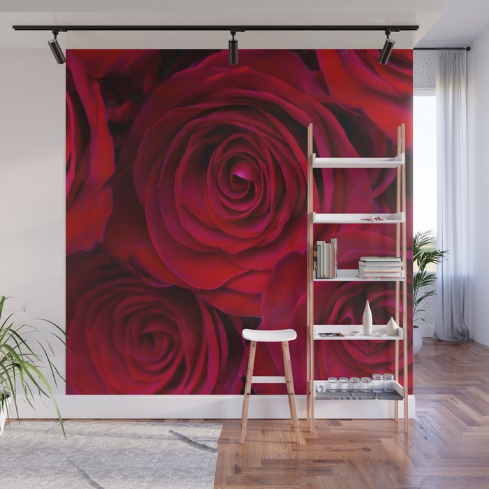 Red roses Wall Mural Gallery Image 1