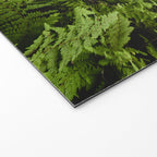 Fern Prairie Nature Forest Photography Welcome Mat Gallery Image 2