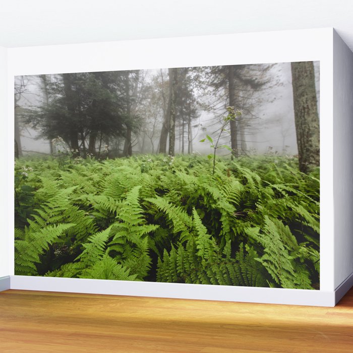 Fern Prairie Nature Forest Photography Wall Mural Gallery Image 2