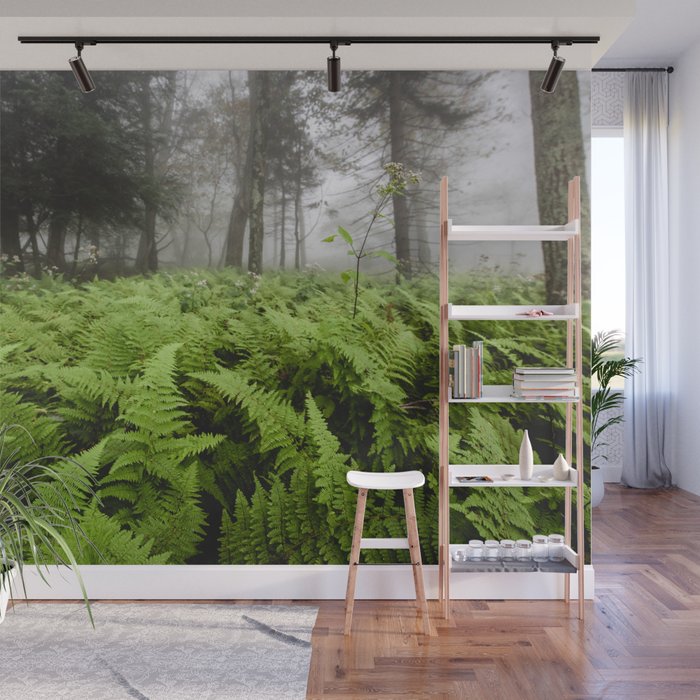 Fern Prairie Nature Forest Photography Wall Mural Gallery Image 1