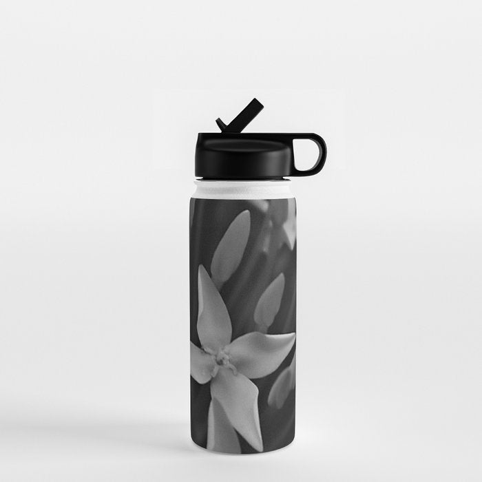West Indian Jasmine 4-petaled flowers black and white photography / photograph Water Bottle Gallery Image 1