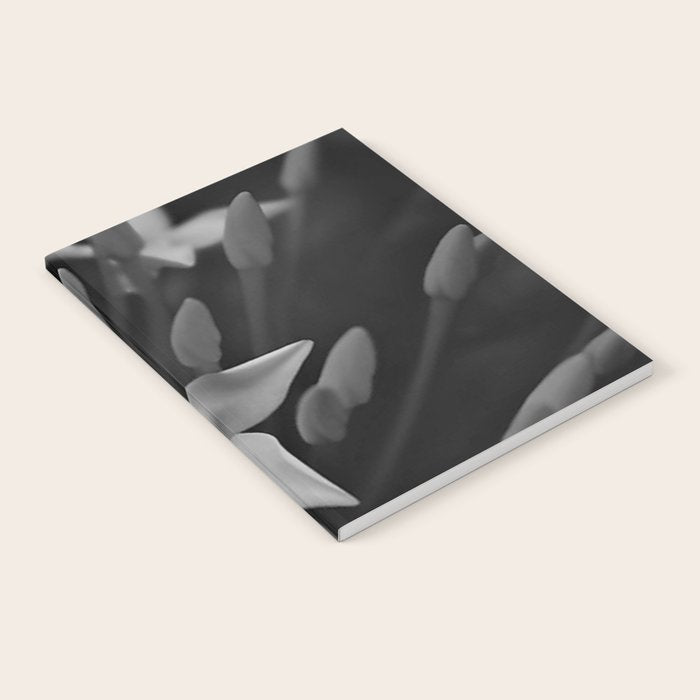West Indian Jasmine 4-petaled flowers black and white photography / photograph Notebook Gallery Image 2