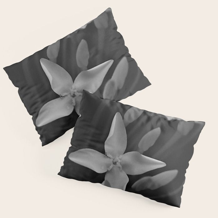 West Indian Jasmine 4-petaled flowers black and white photography / photograph Pillow Sham Gallery Image 1