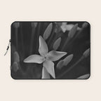 West Indian Jasmine 4-petaled flowers black and white photography / photograph Laptop Sleeve Gallery Image 1