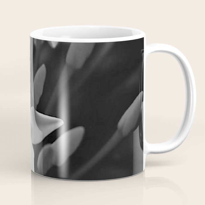 West Indian Jasmine 4-petaled flowers black and white photography / photograph Coffee Mug Gallery Image 1