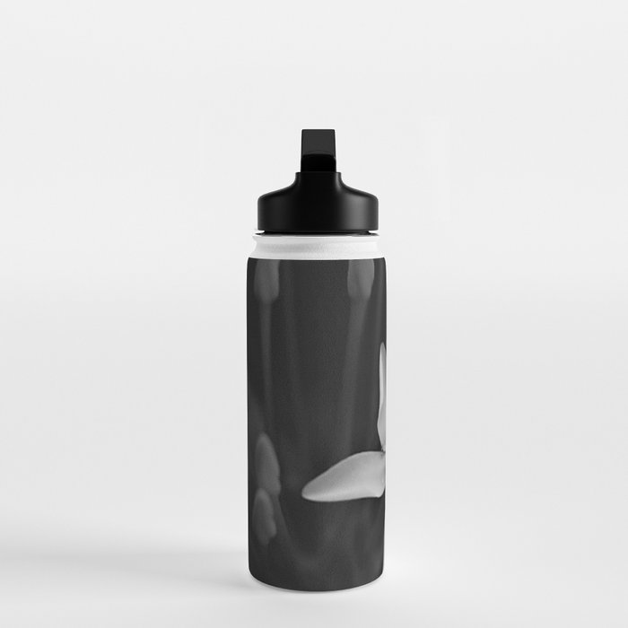 West Indian Jasmine 4-petaled flowers black and white photography / photograph Water Bottle Gallery Image 3
