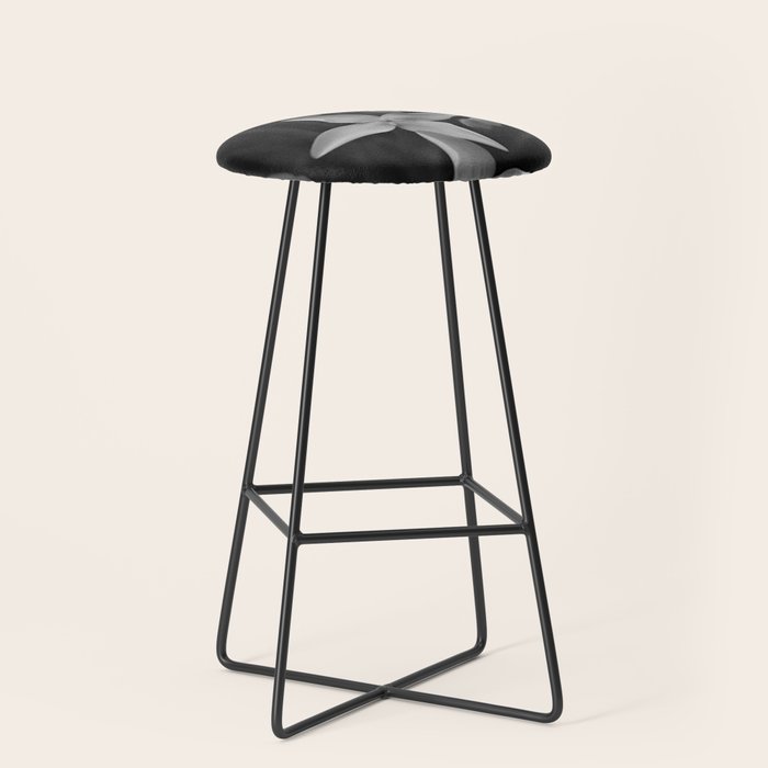 West Indian Jasmine 4-petaled flowers black and white photography / photograph Stool Gallery Image 1