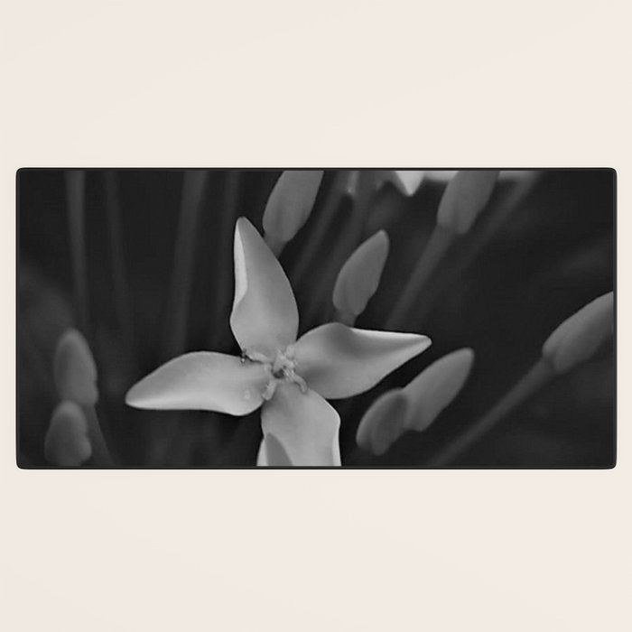West Indian Jasmine 4-petaled flowers black and white photography / photograph Desk Mat Gallery Image 3