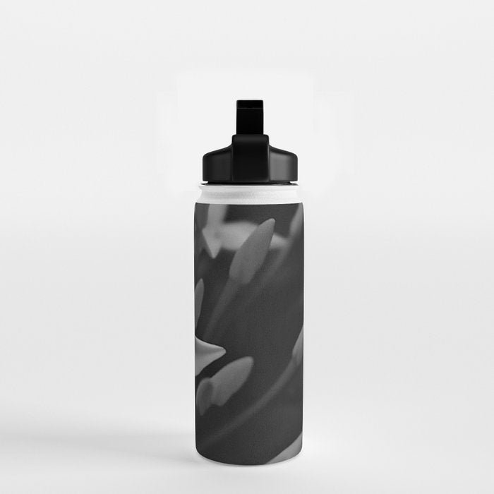 West Indian Jasmine 4-petaled flowers black and white photography / photograph Water Bottle Gallery Image 2