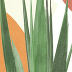 Abstract Agave Plant Coffee Mug Gallery Image 2