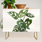 Plant 11 Credenza Gallery Image 1
