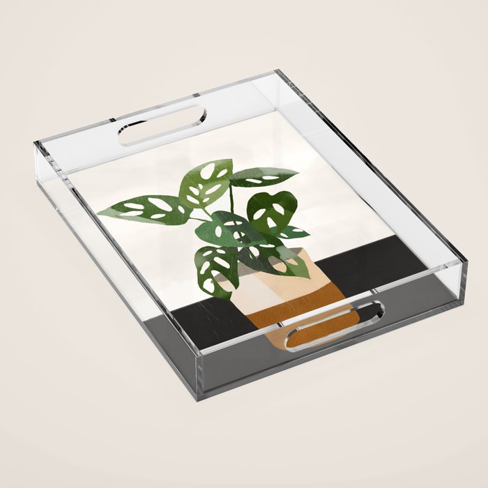 Plant 11 Acrylic Tray Gallery Image 1
