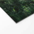 Bear Grass Trail Welcome Mat Gallery Image 2