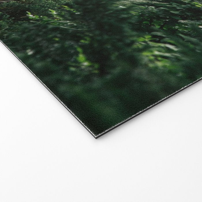 Bear Grass Trail Welcome Mat Gallery Image 2