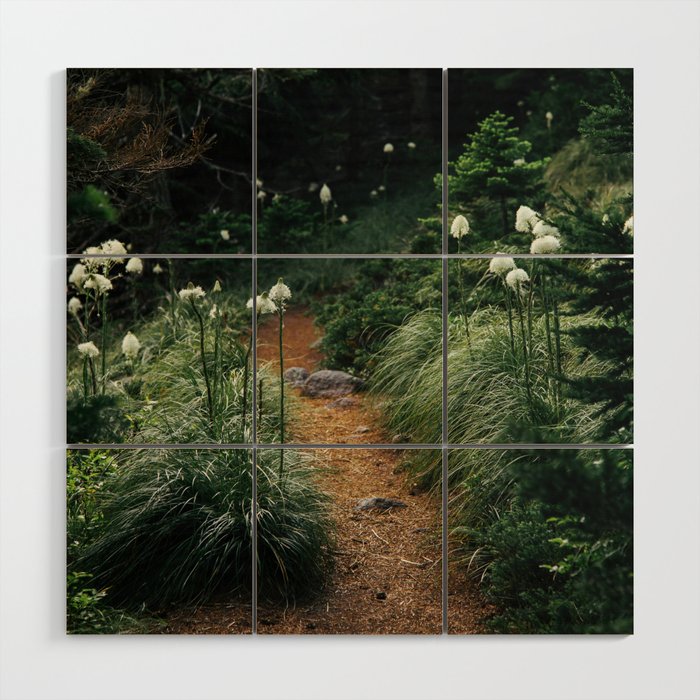Bear Grass Trail Wood Wall Art Gallery Image 1