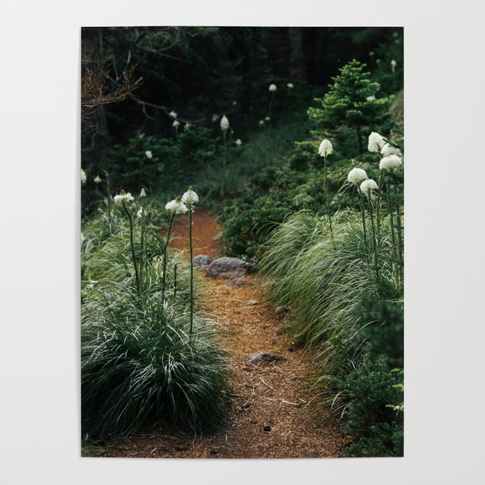 Bear Grass Trail Poster Gallery Image 1