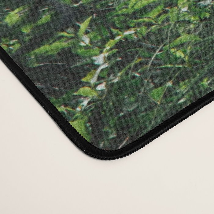 Bear Grass Trail Desk Mat Gallery Image 4