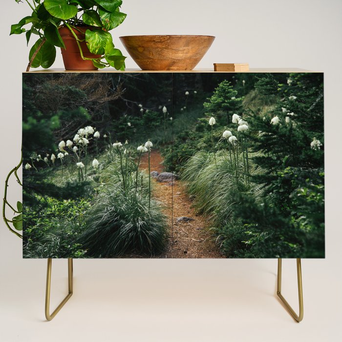 Bear Grass Trail Credenza Gallery Image 1