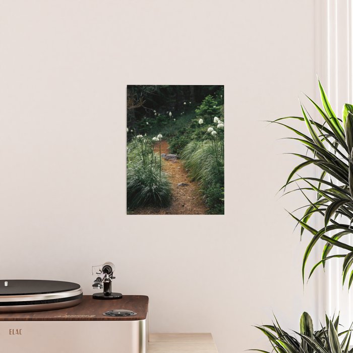 Bear Grass Trail Poster Gallery Image 2