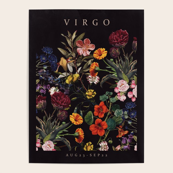 VIRGO II Poster Gallery Image 4