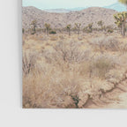 Desert Path - Joshua Tree Landscape, Nature Photography Poster Gallery Image 3