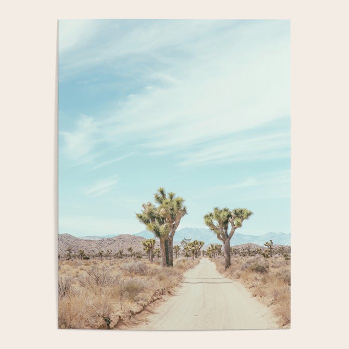 Desert Path - Joshua Tree Landscape, Nature Photography Poster Gallery Image 1