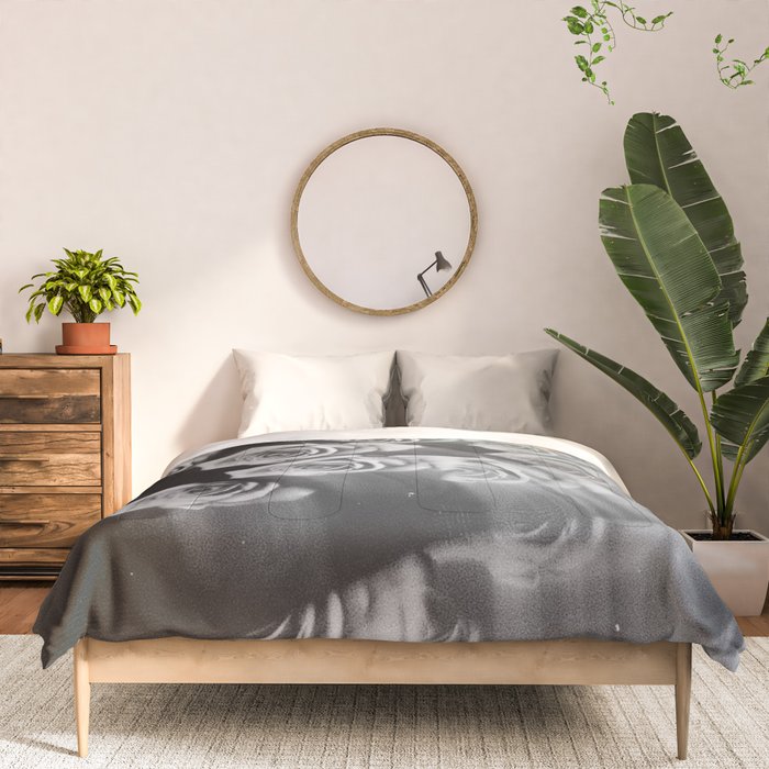 Fade into you Comforter Gallery Image 3