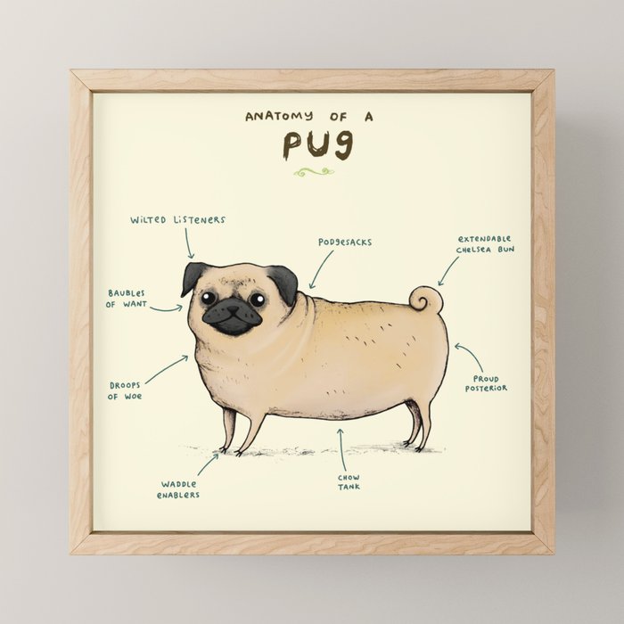 Anatomy of a Pug Mini Art Print Gallery Image 1