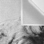 Lion Portrait - Black & White Wall Tapestry Gallery Image 3
