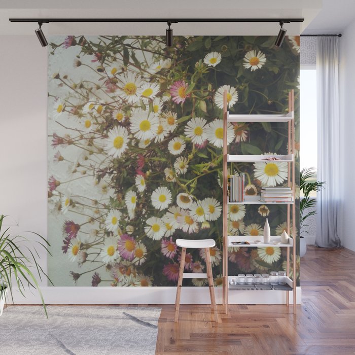 Wall of Daisies Wall Mural Gallery Image 1