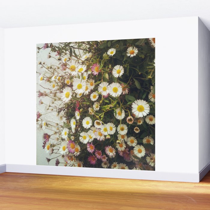 Wall of Daisies Wall Mural Gallery Image 2