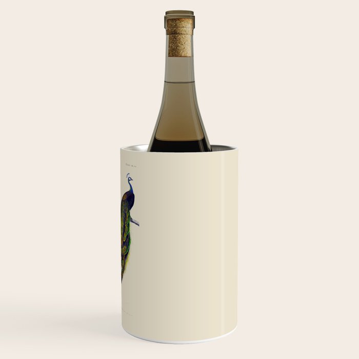 Vintage Peacock Wine Chiller Gallery Image 3