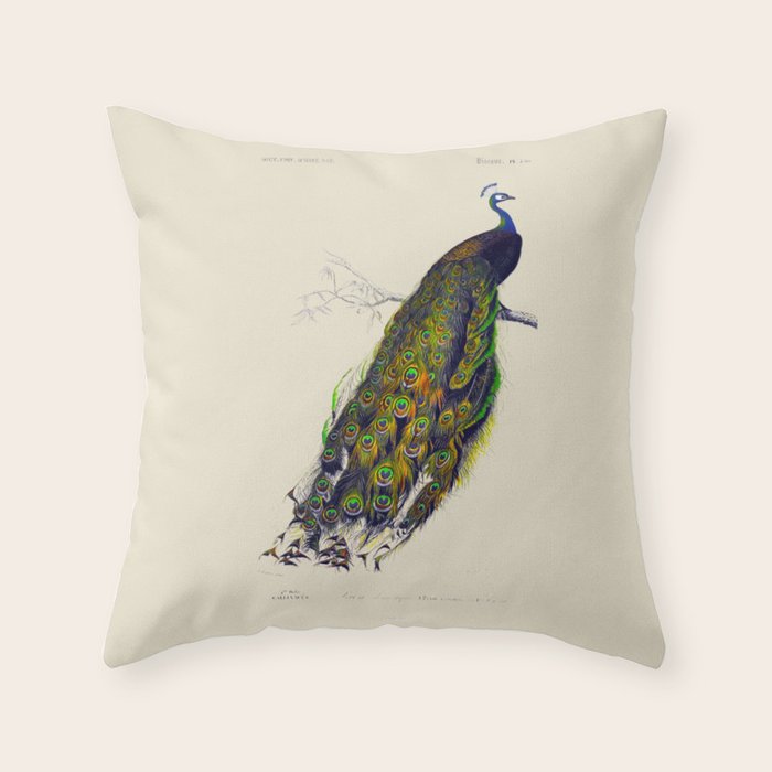 Vintage Peacock Throw Pillow Gallery Image 6