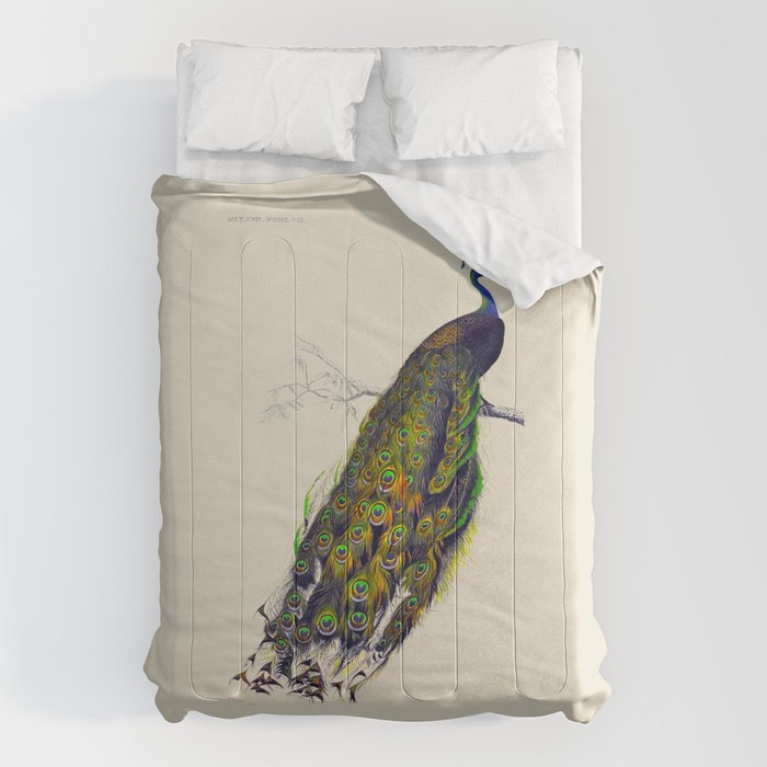Vintage Peacock Comforter Gallery Image 6