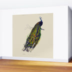 Vintage Peacock Wall Mural Gallery Image 2
