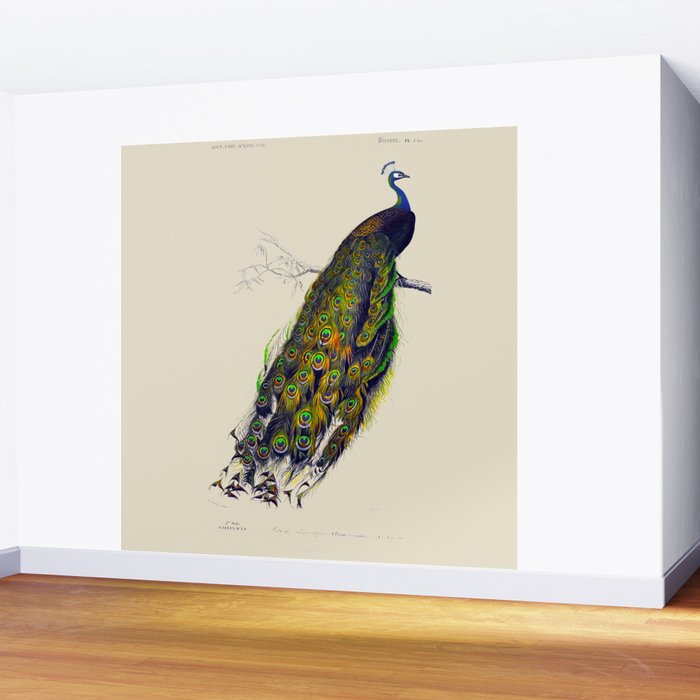 Vintage Peacock Wall Mural Gallery Image 2
